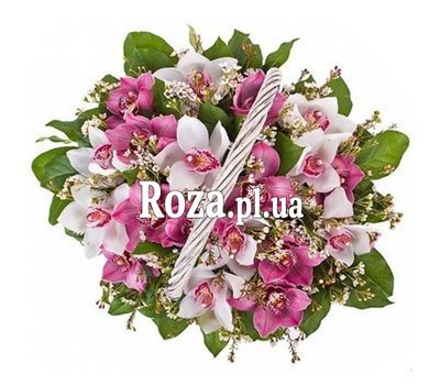 Корзинка из 19 орхидей Корзинка из 19 орхидей