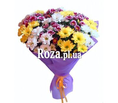 Bouquet of 25 multi-colored chrysanthemums Bouquet of 25 multi-colored chrysanthemums