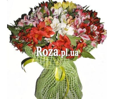 Bouquet of 35 alstromeries Bouquet of 35 alstromeries