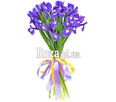 Букет із 19 ірисів Букет із 19 ірисів