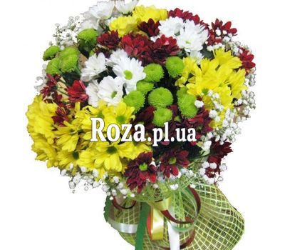 Bouquet of 17 chrysanthemums Bouquet of 17 chrysanthemums