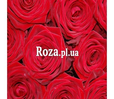 Червоні троянди поштучно Червоні троянди поштучно