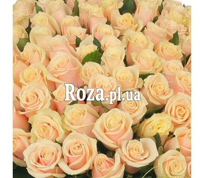 Кремові троянди поштучно Кремові троянди поштучно