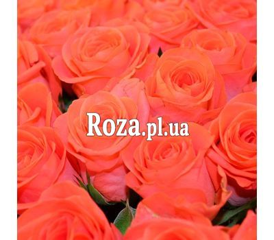 Помаранчеві троянди поштучно Помаранчеві троянди поштучно