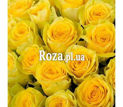 Жовті троянди поштучно Жовті троянди поштучно